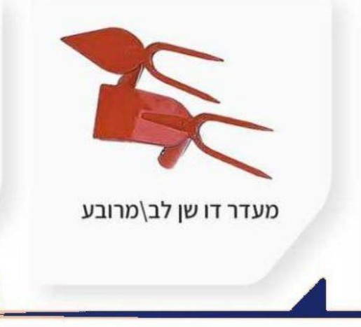 מטאטא דשא מתכוונן