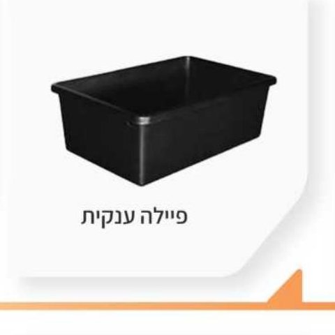 פיילה ענקית