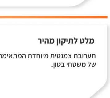 מיסטרפיקס פריט 066