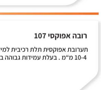מיסטרפיקס פריט 055