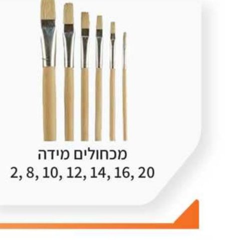 מכחולים מידה 2, 8, 10, 12, 14, 16, 20